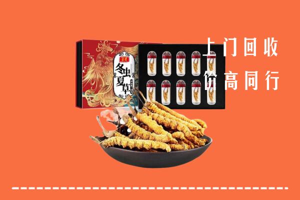 澜沧县回收虫草
